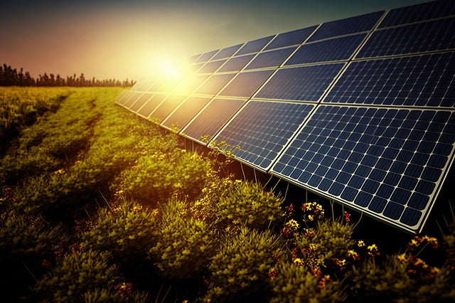 A Simple Guide to Solar Panels: PERC, Thin-Film, Polycrystalline, and Monocrystalline