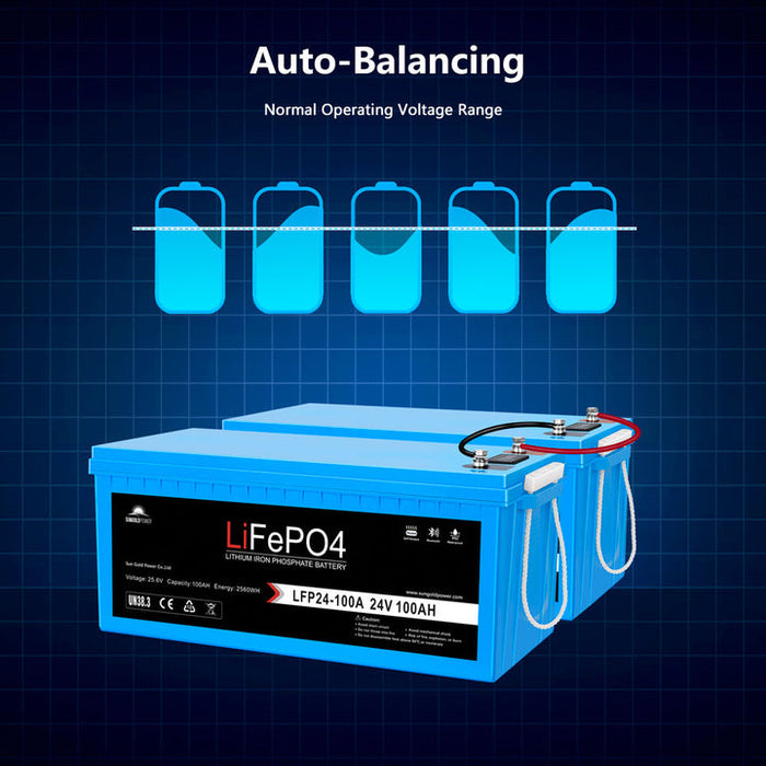 Sungold Power 24V 100AH LiFePO4 Deep Cycle Battery BLUETOOTH / SELF-HEATING