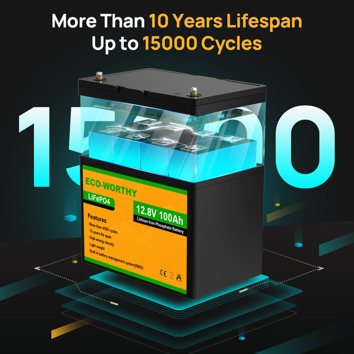 ECO-WORTHY LiFePO4 12V 100Ah Lithium Iron Phosphate Battery